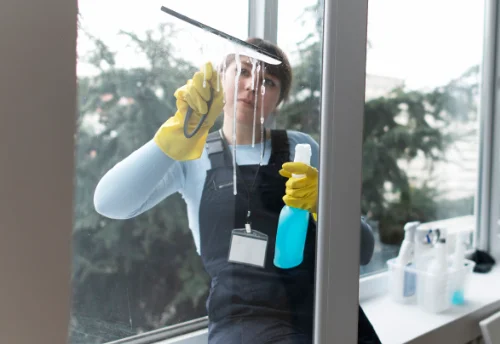 Nettoyage de vitres intérieures et extérieures à Lamoura